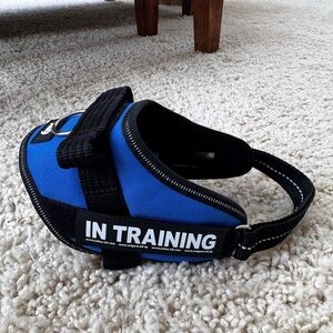 Julius K9 Small/Mini harness in blue EUC, includes “In Training” Velcro patch